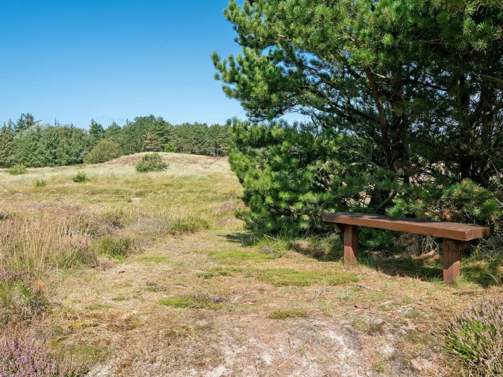 "Siegried" - 2.2km from the sea-Outside