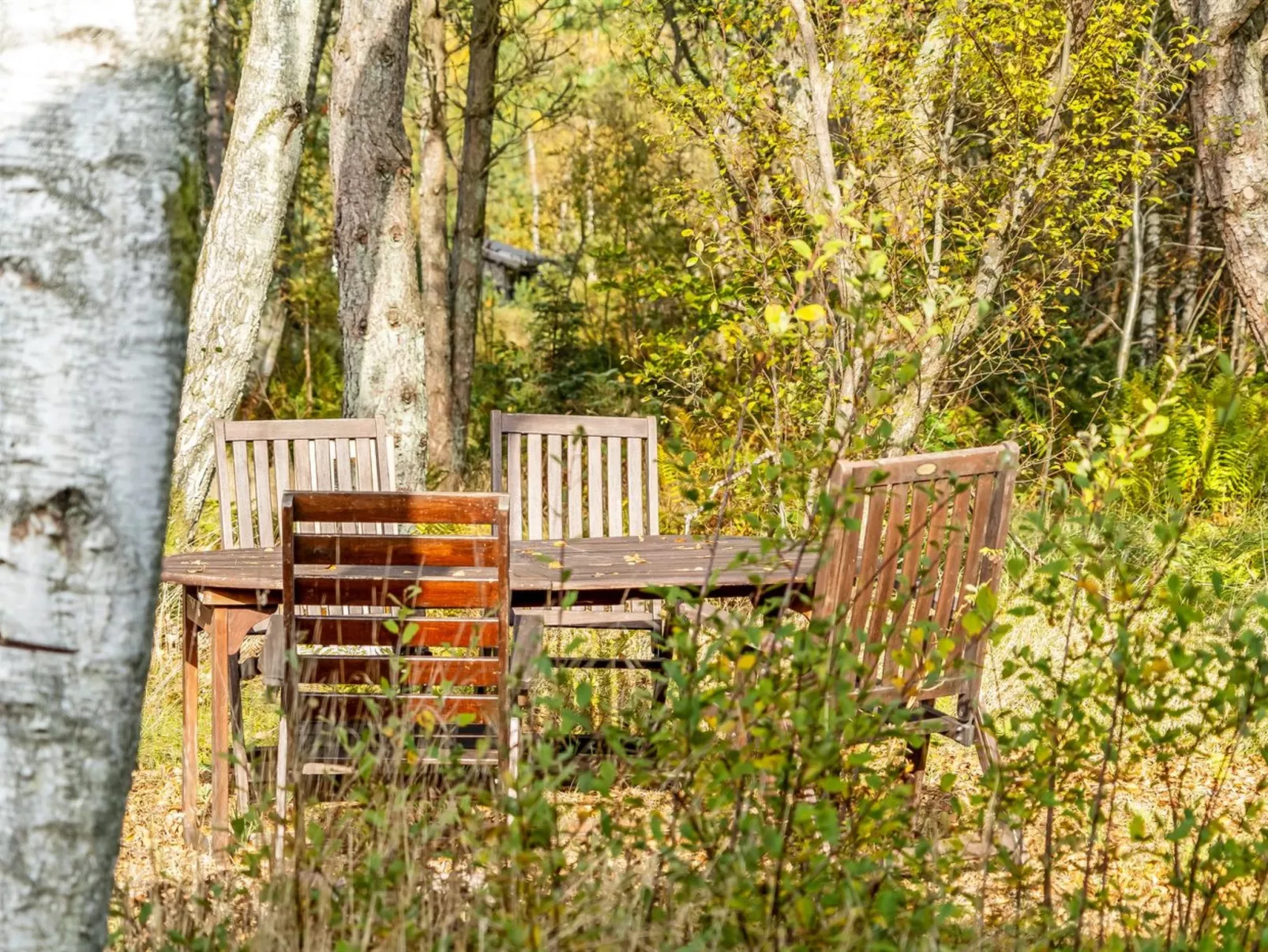 "Tanas" - 2km from the sea-Draußen