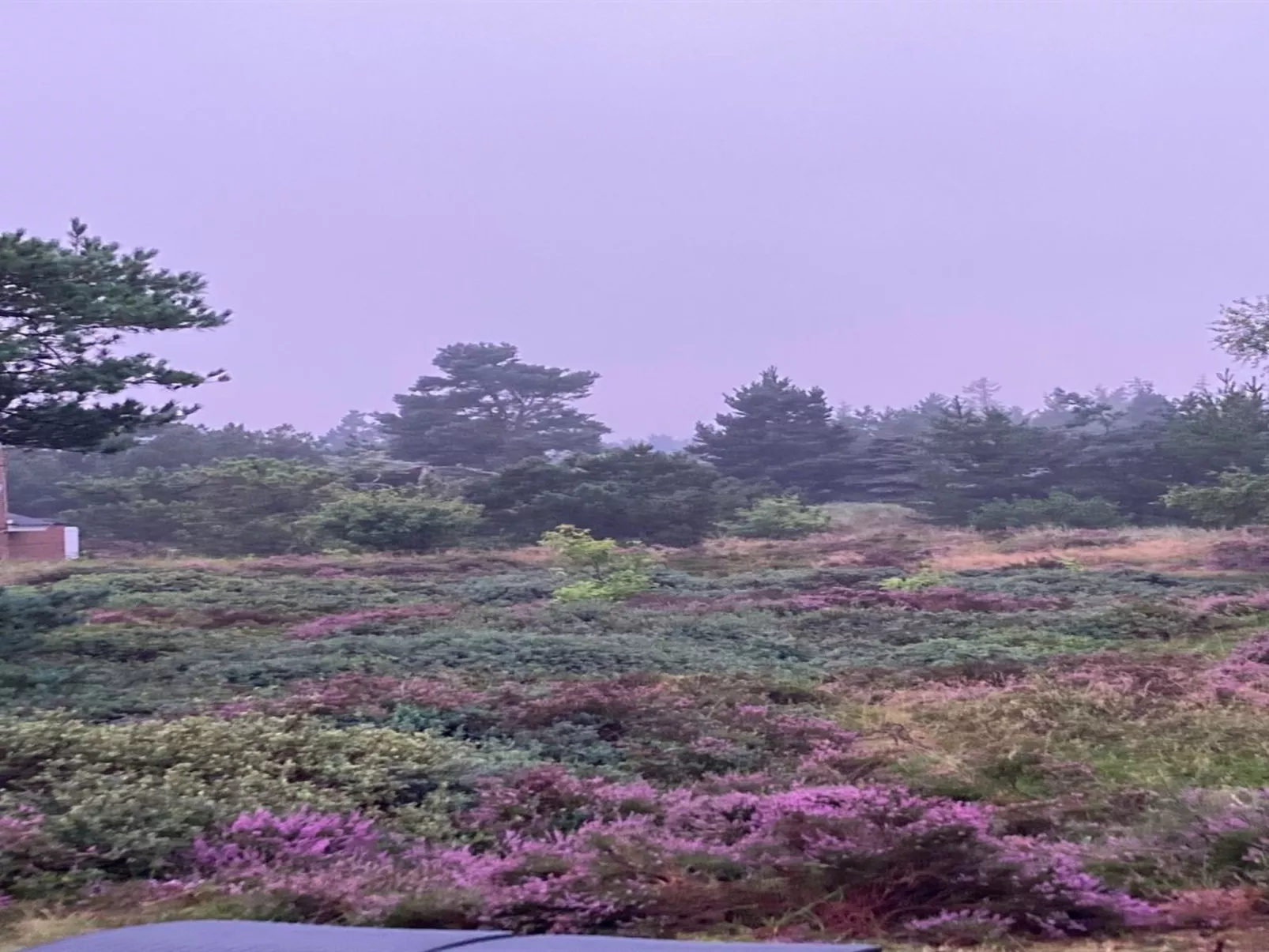 "Andriette" - 4.5km from the sea-Outside