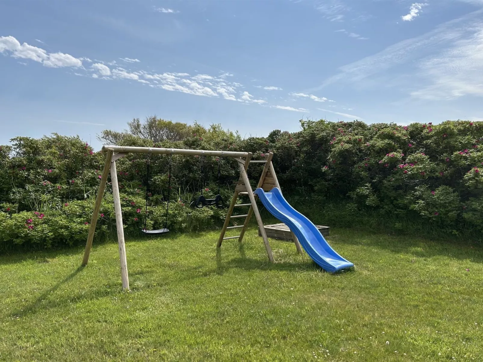 "Safina" -  from the sea-Draußen