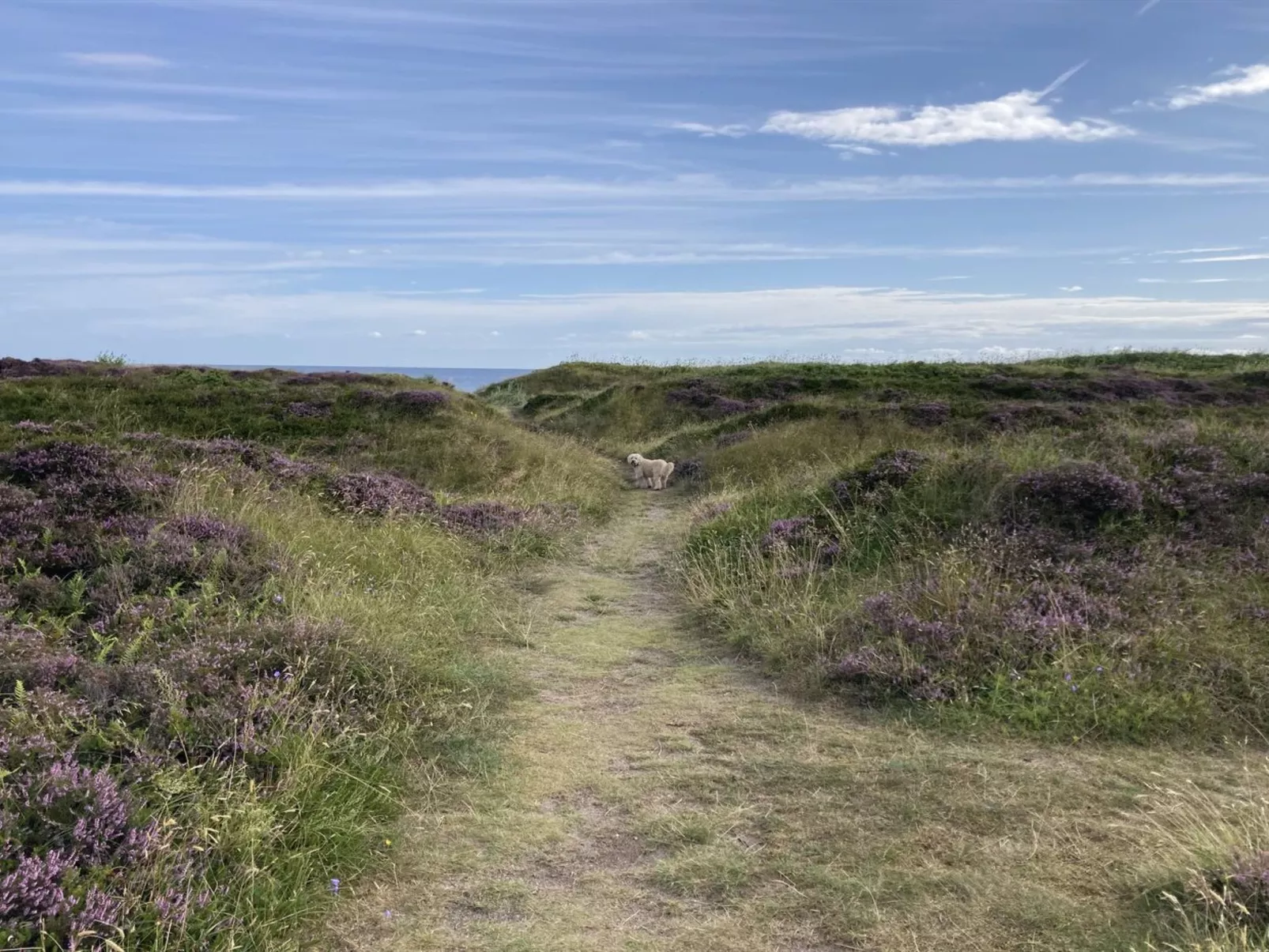 "Malte" - 75m from the sea-Draußen