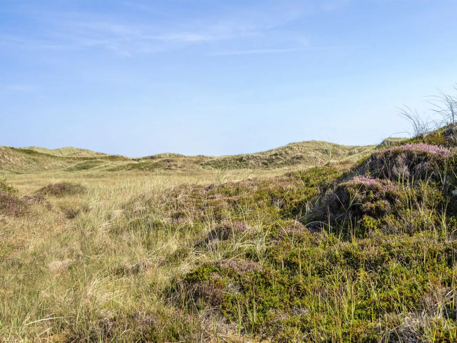 "Marjon" - 400m from the sea-Outside