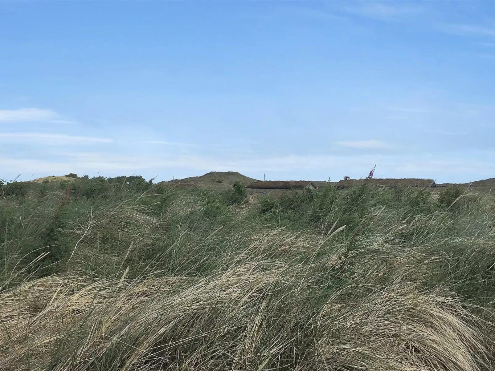 "Gerulf" - 600m from the sea-Draußen