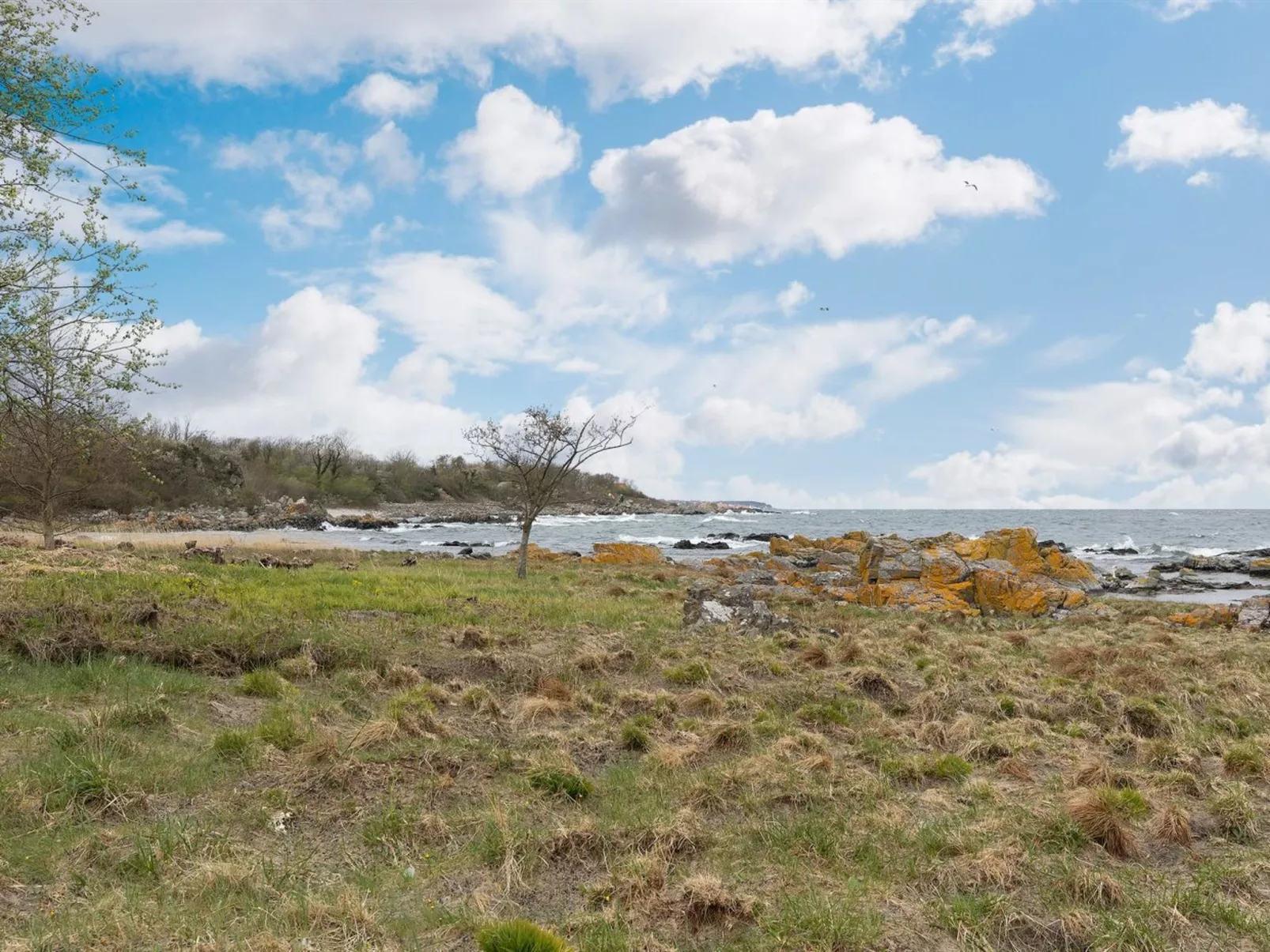 "Ensio" - 150m from the sea-Draußen