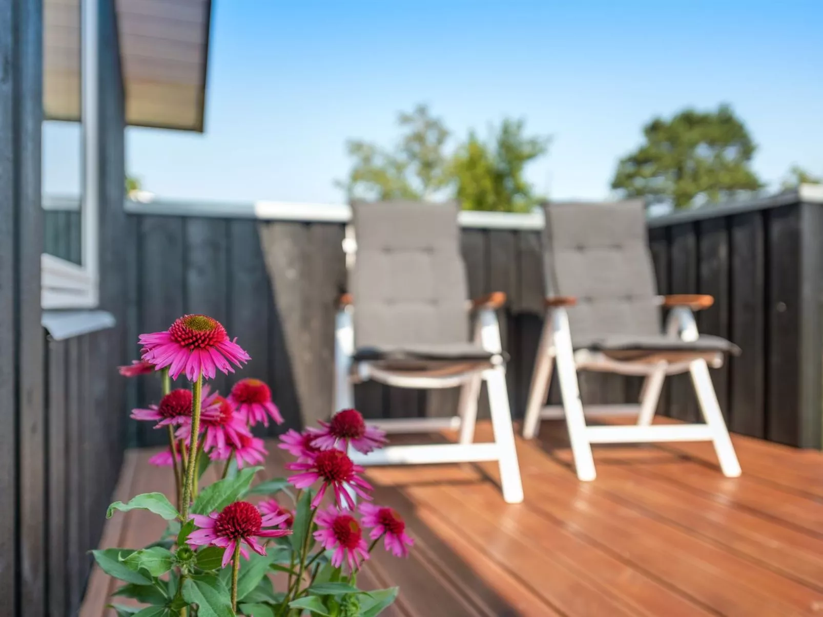 "Sighfrith" - 150m from the sea-Dedans