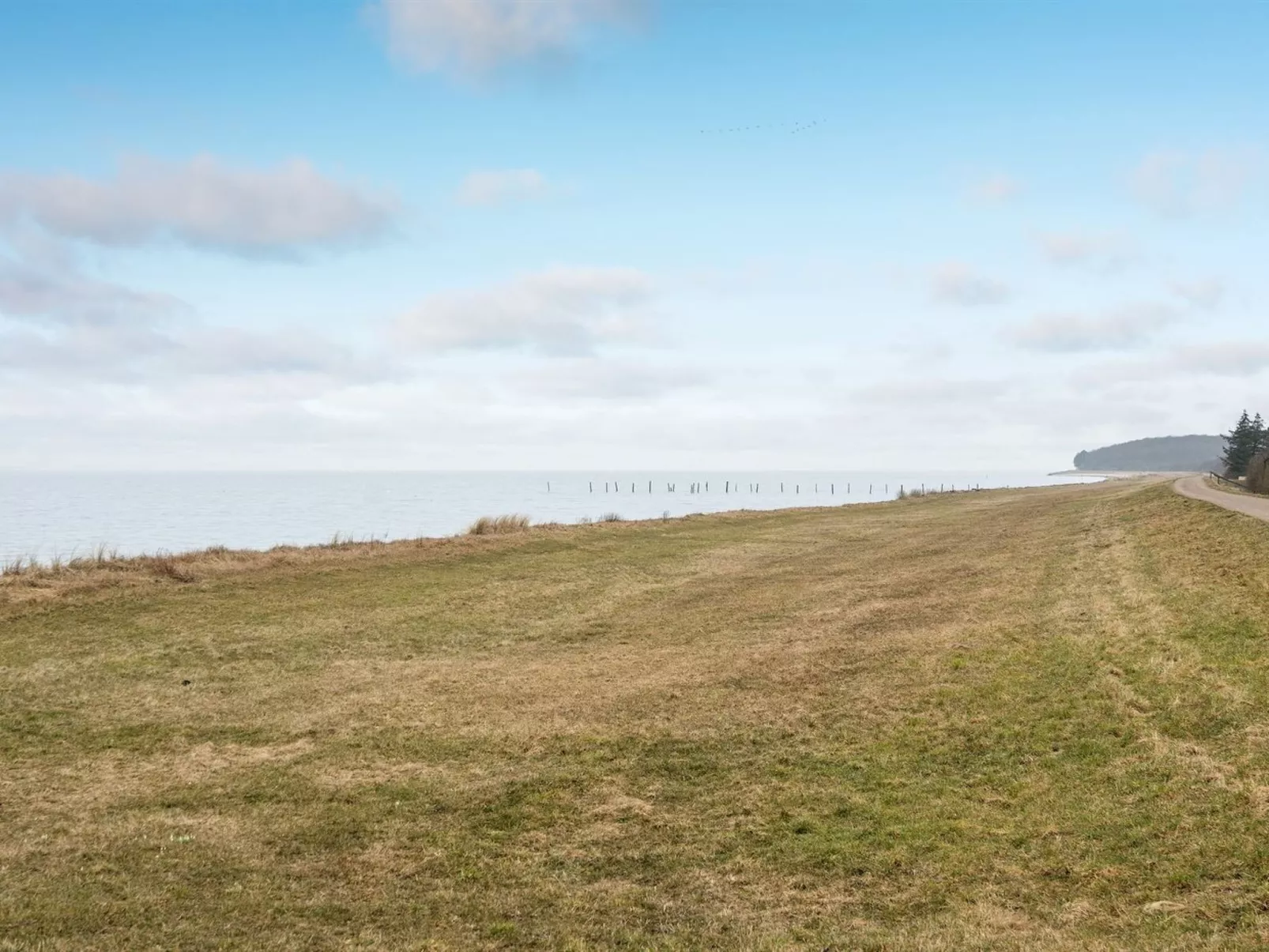 "Hattie" - 100m from the sea-Draußen