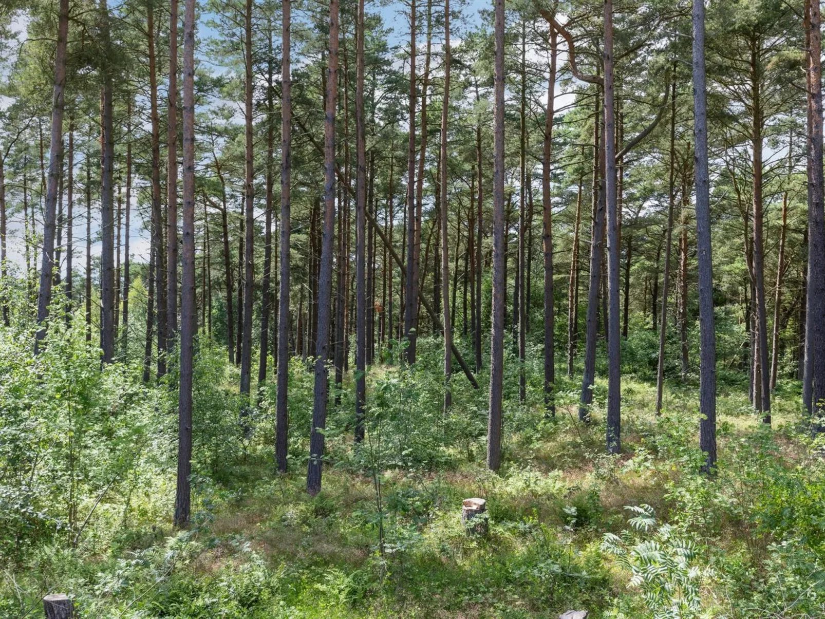 "Anarosa" - 200m from the sea-Dehors