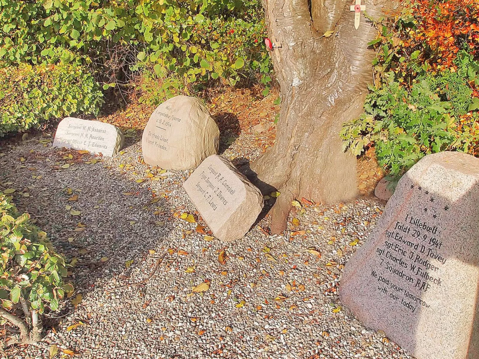 "Iorund" - 550m from the sea-Draußen