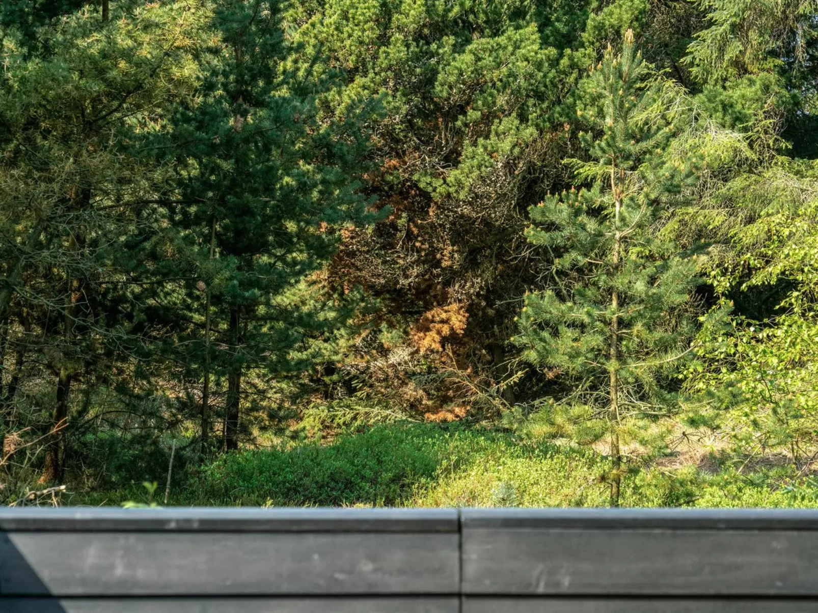 "Herborg" - 1km from the sea-Outside