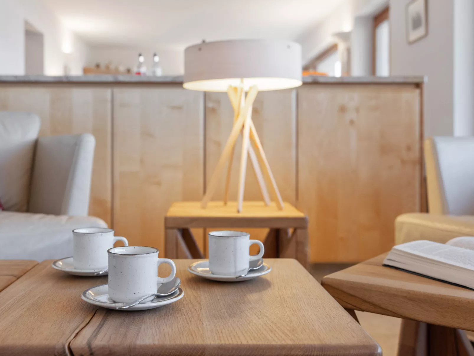 Les Aiguilles Vertes Rez inférieur-Inside