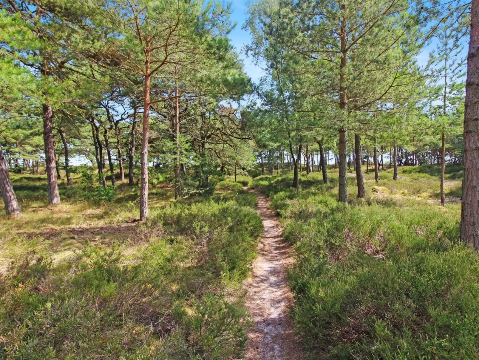 "Læff" - 50m from the sea-Draußen