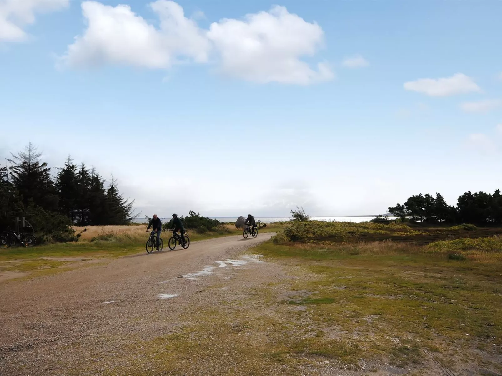 "Eljas" - 200m to the fjord-Outside