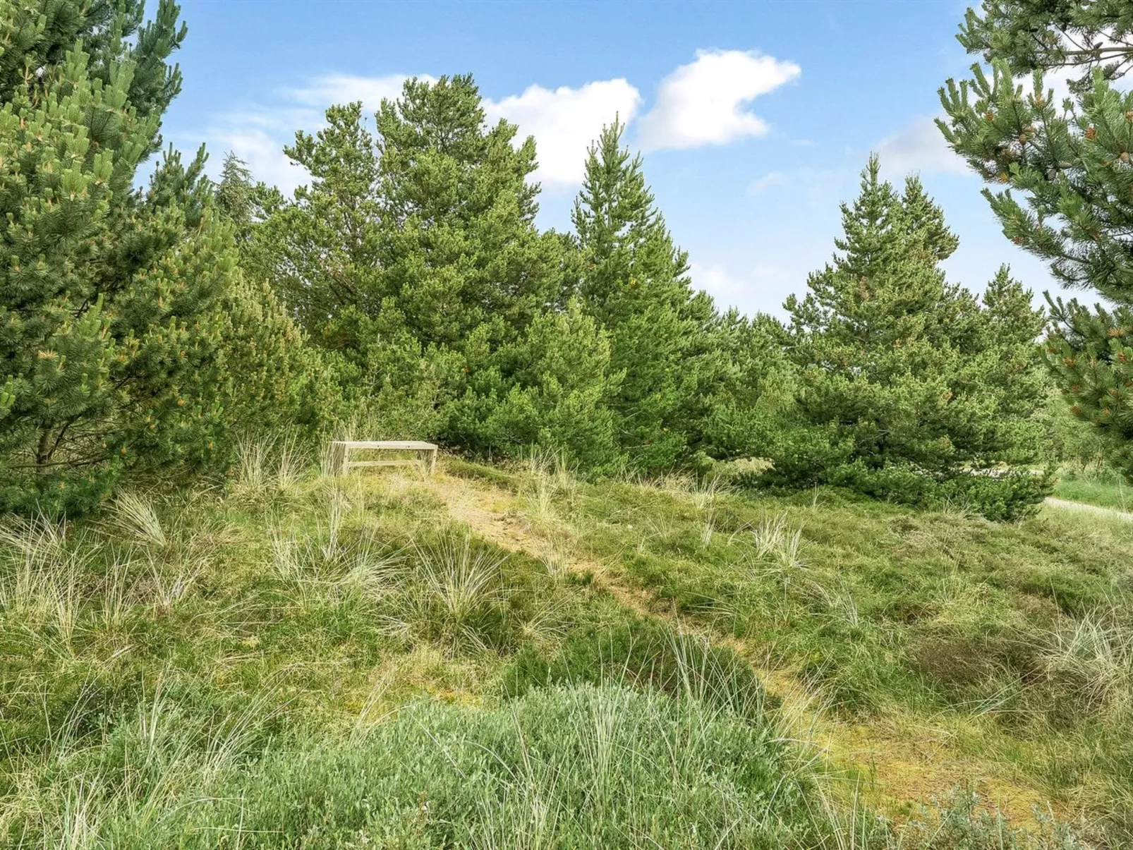 "Hughlek" - 900m from the sea-Draußen