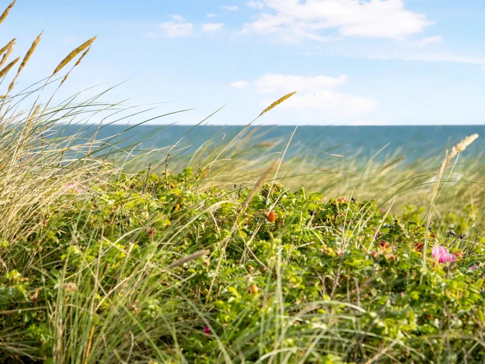 "Ebba" - 25m from the sea-Dehors