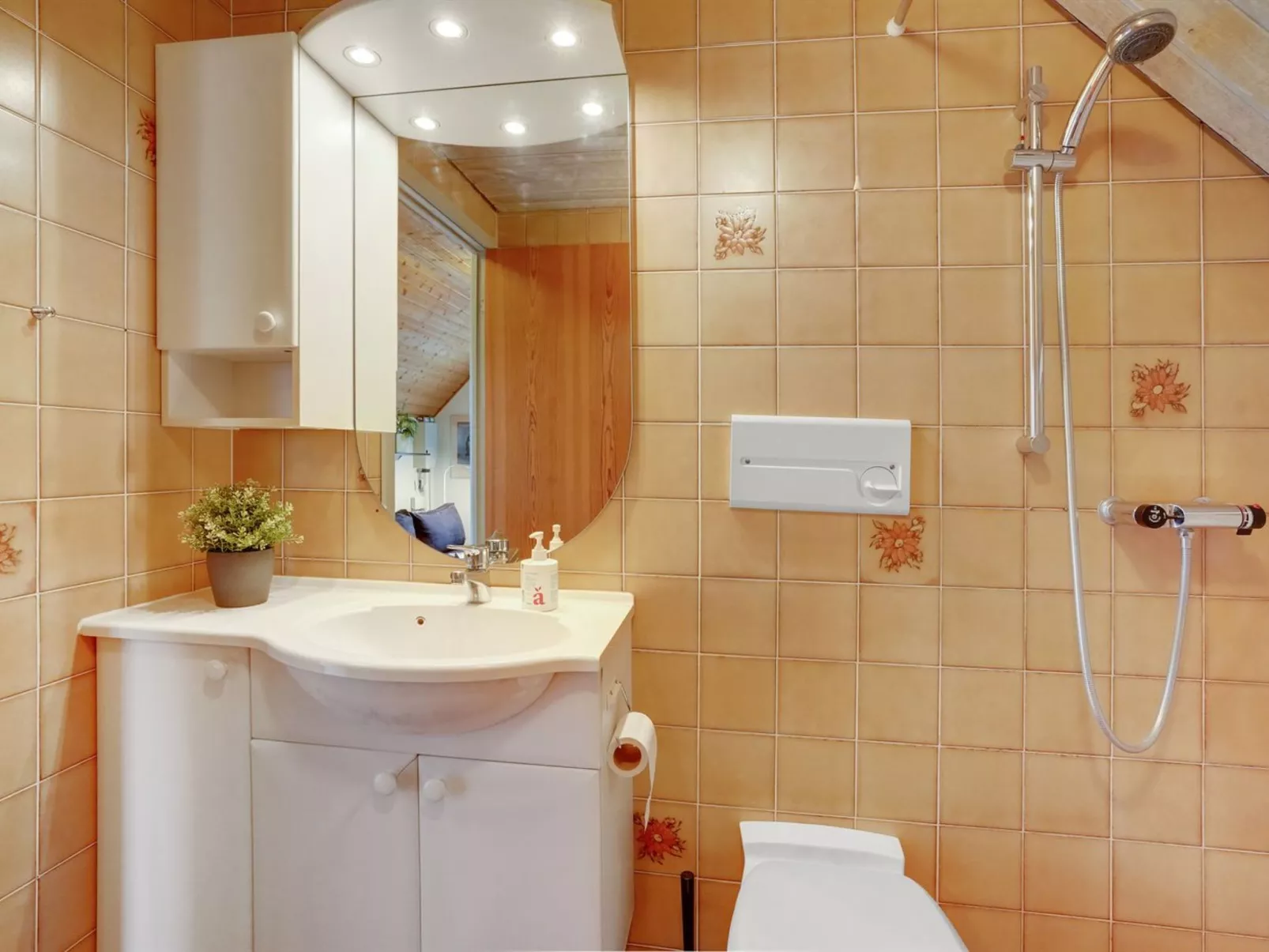 "Roya" - 1.9km from the sea-Dedans