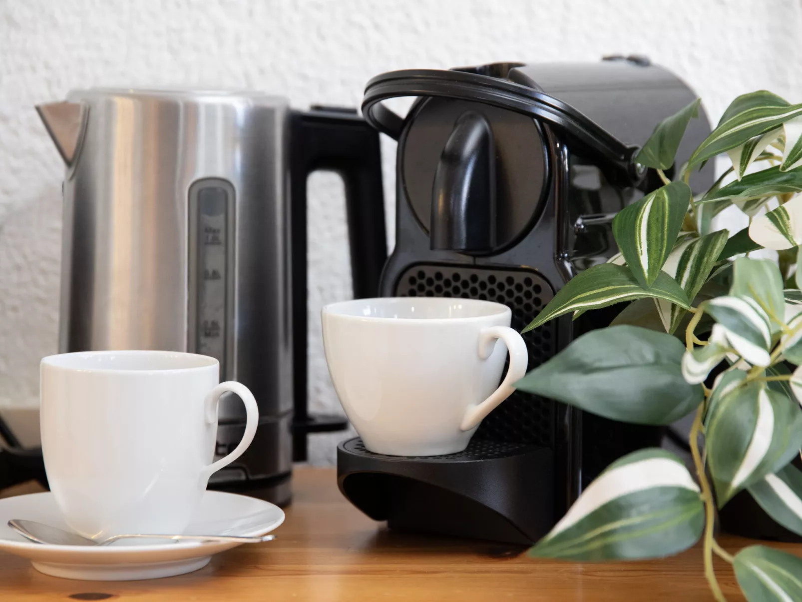 Primula Apt. B-Drinnen