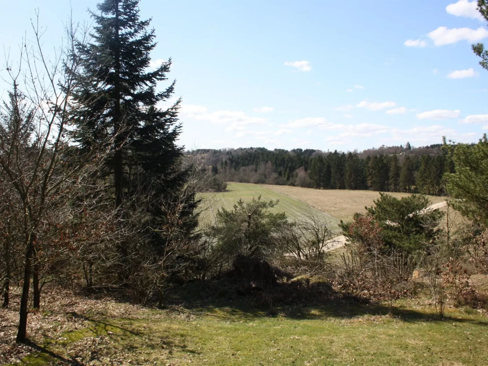 "Piia" - 800m from the sea-Draußen