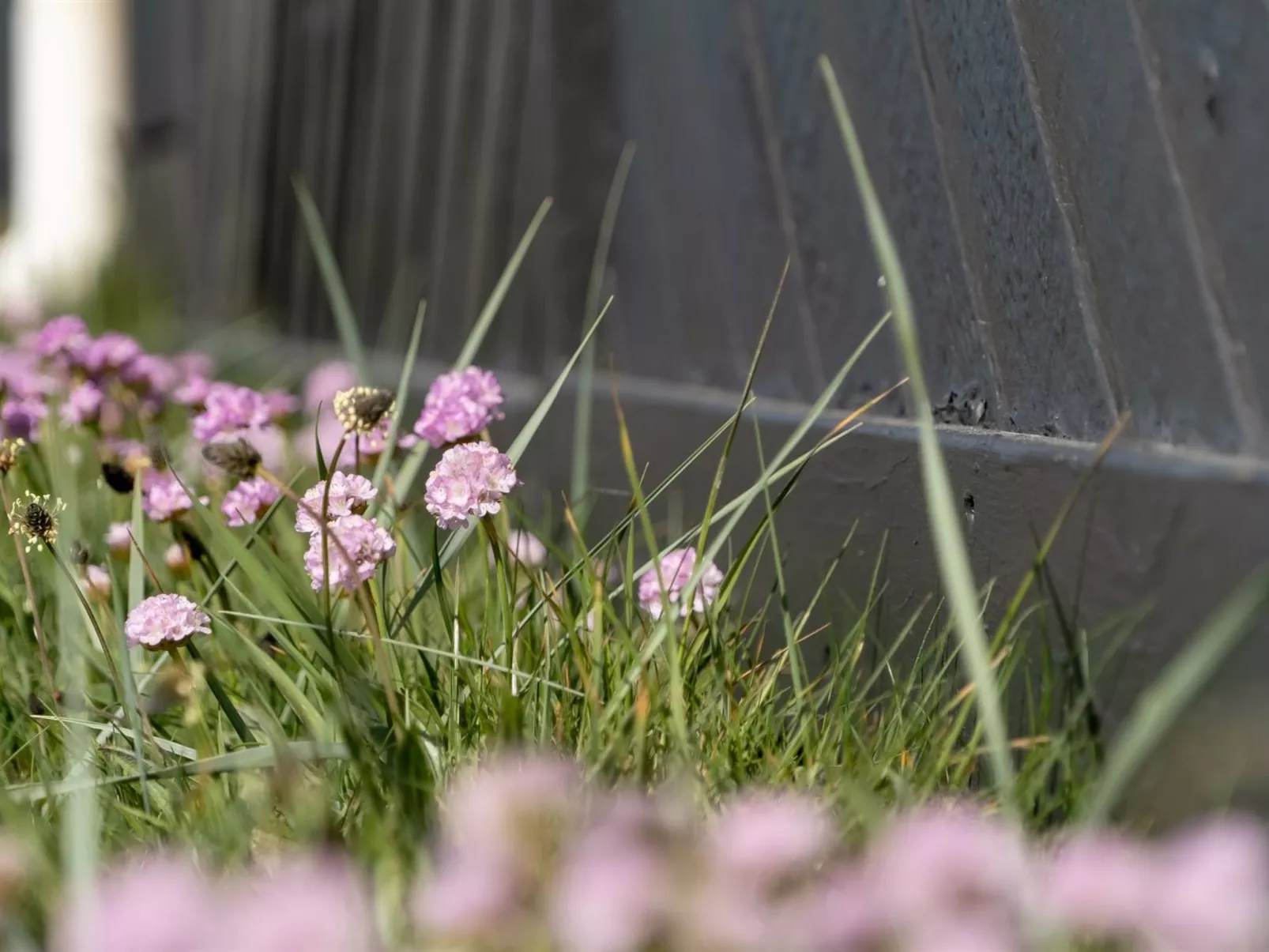 "Ralf" - 300m from the sea-Outside