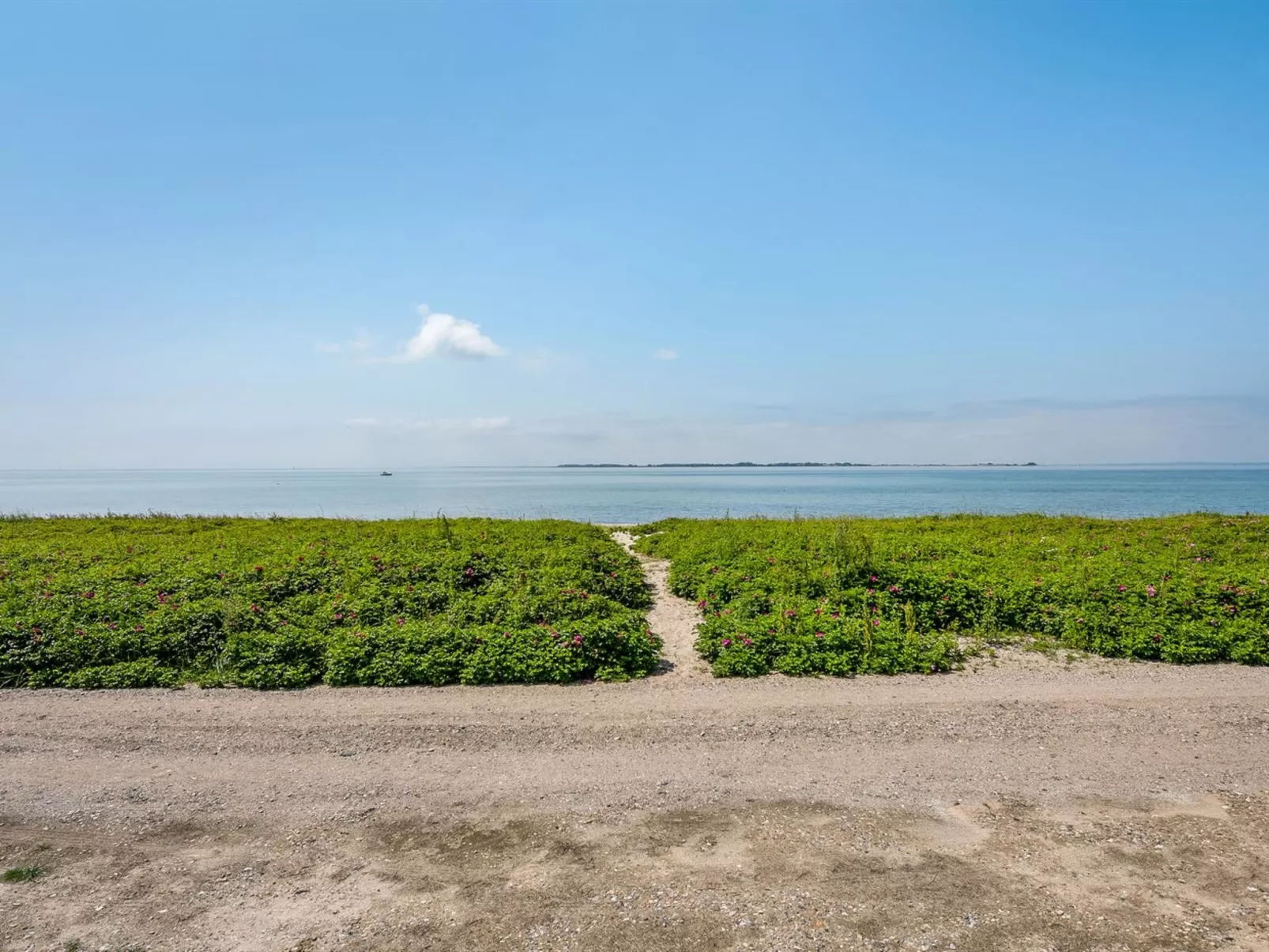 "Arnwith" - 20m from the sea-Outside