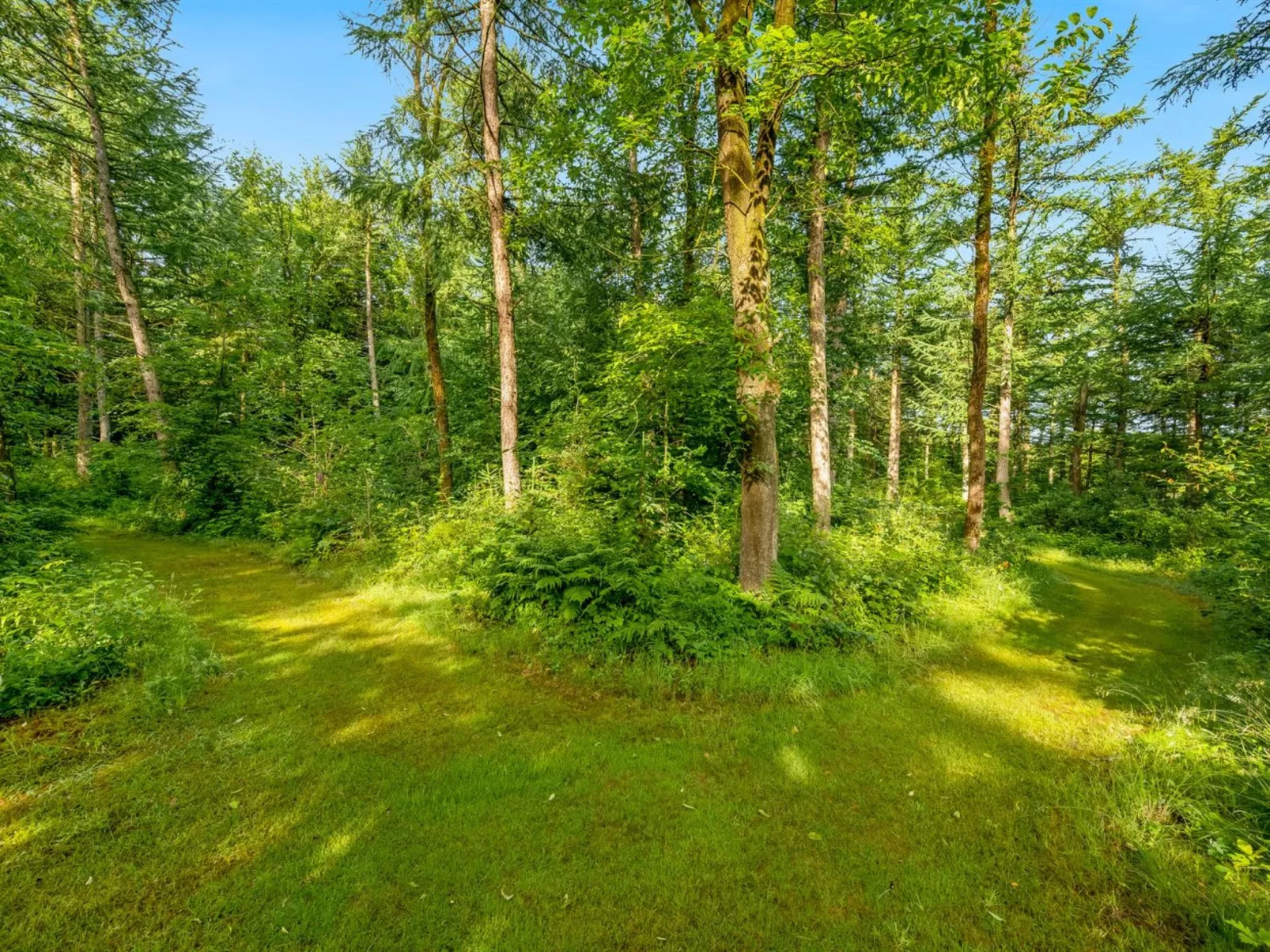 "Fina" - 15km from the sea-Outside