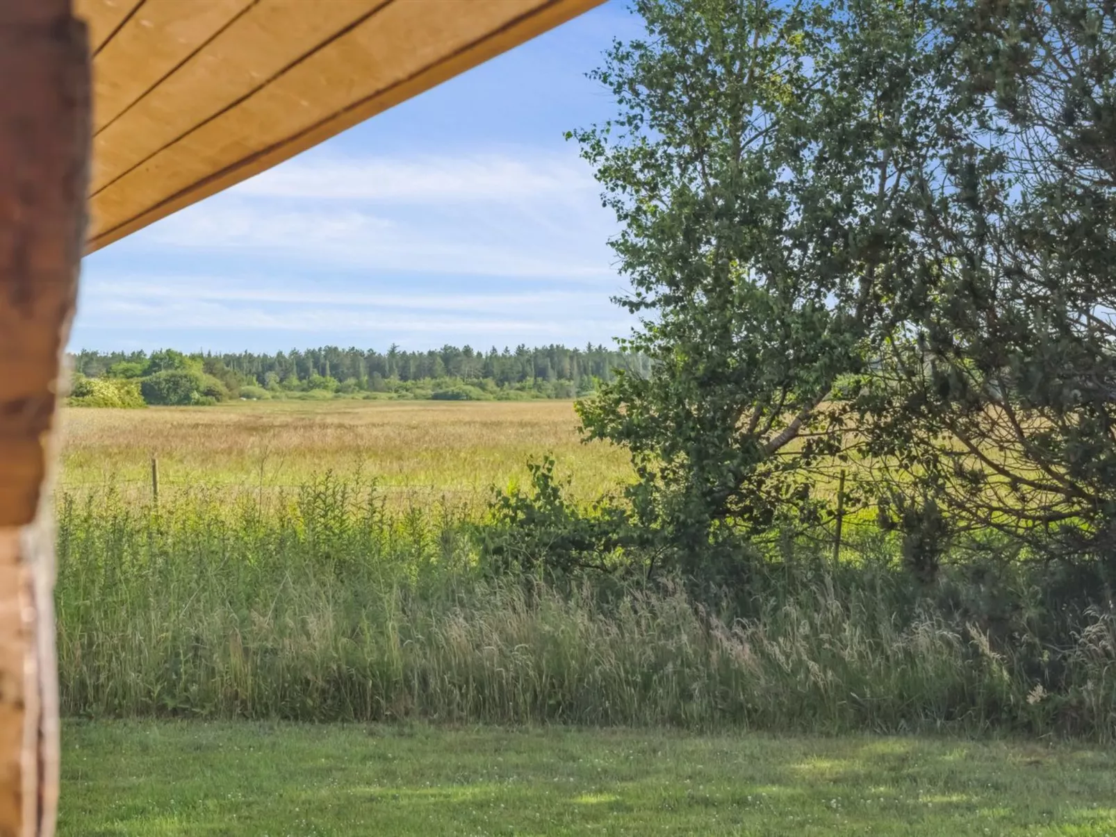 "Elsia" - 1.5km to the fjord-Outside