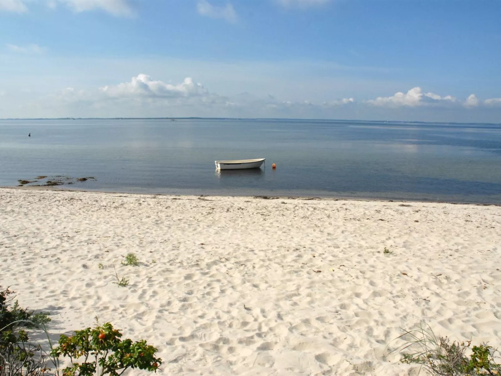 "Kalv" - 75m from the sea-Outside