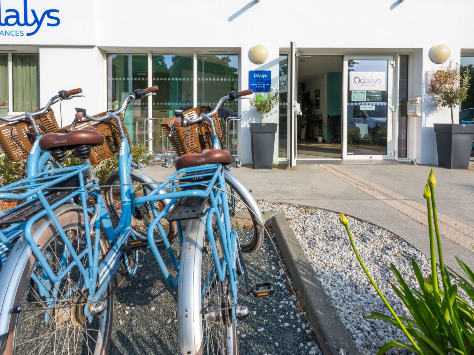  Odalys Collection Le Domaine des Pins-Drinnen