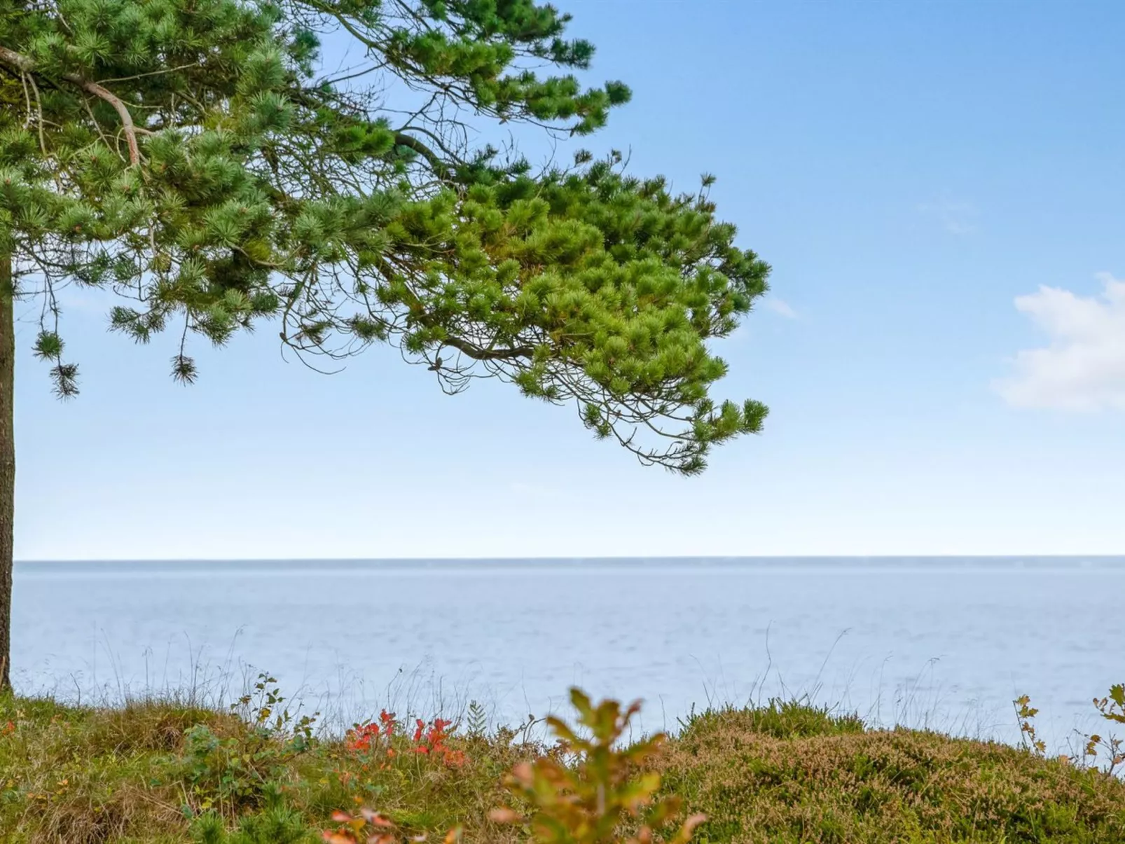"Ingeborg" - 100m to the fjord-Draußen