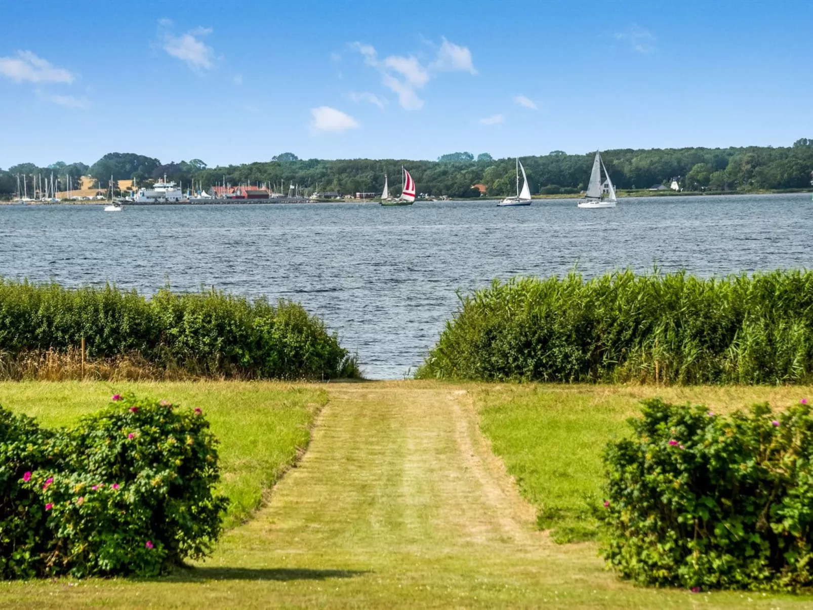 "Eddy" - 50m from the sea-Outside