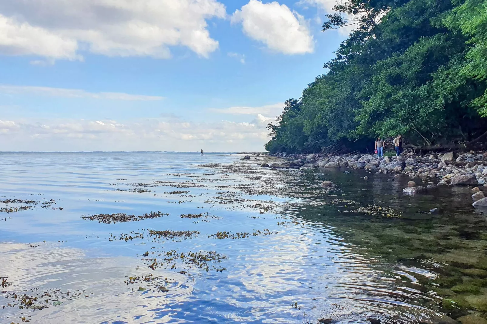 Maison de vacances pour 6 a Aabenraa-By Traum-Vue sur l'eau