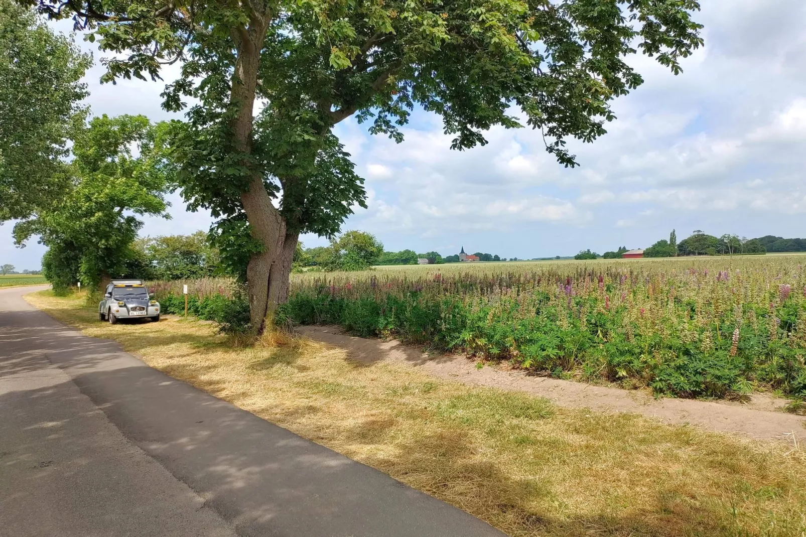 Luxurioses Spa-Retreat in Lolland -- By Traum Ferienwohnungen-Nicht zugeordnet