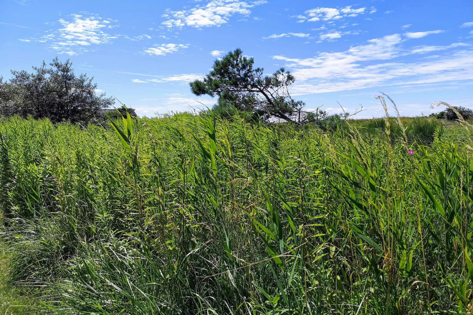 3 person holiday home in Karrebæksminde-By Traum-Untagged