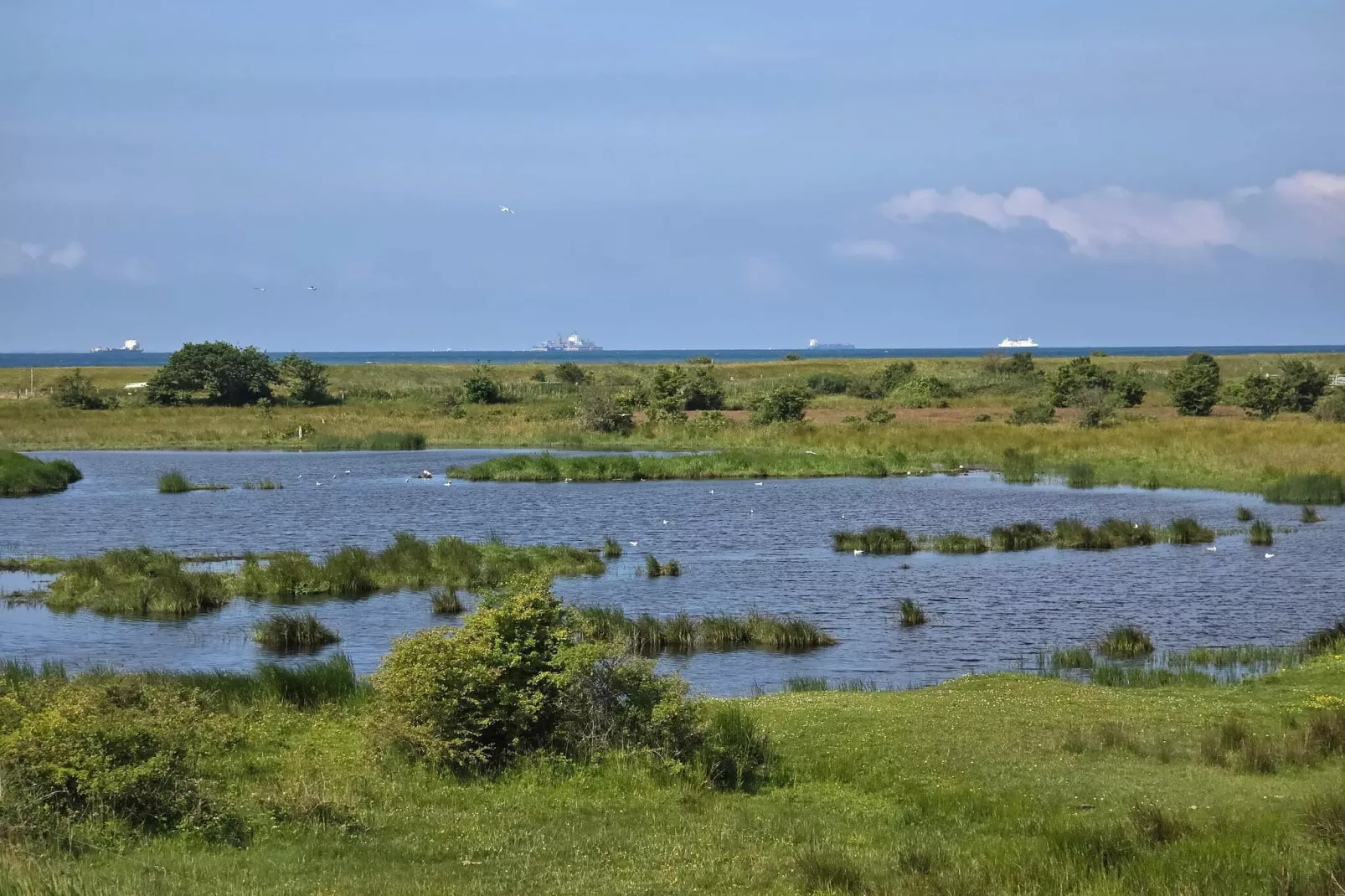 4 Personen Ferienhaus in Rødby-By Traum-Wasserblick