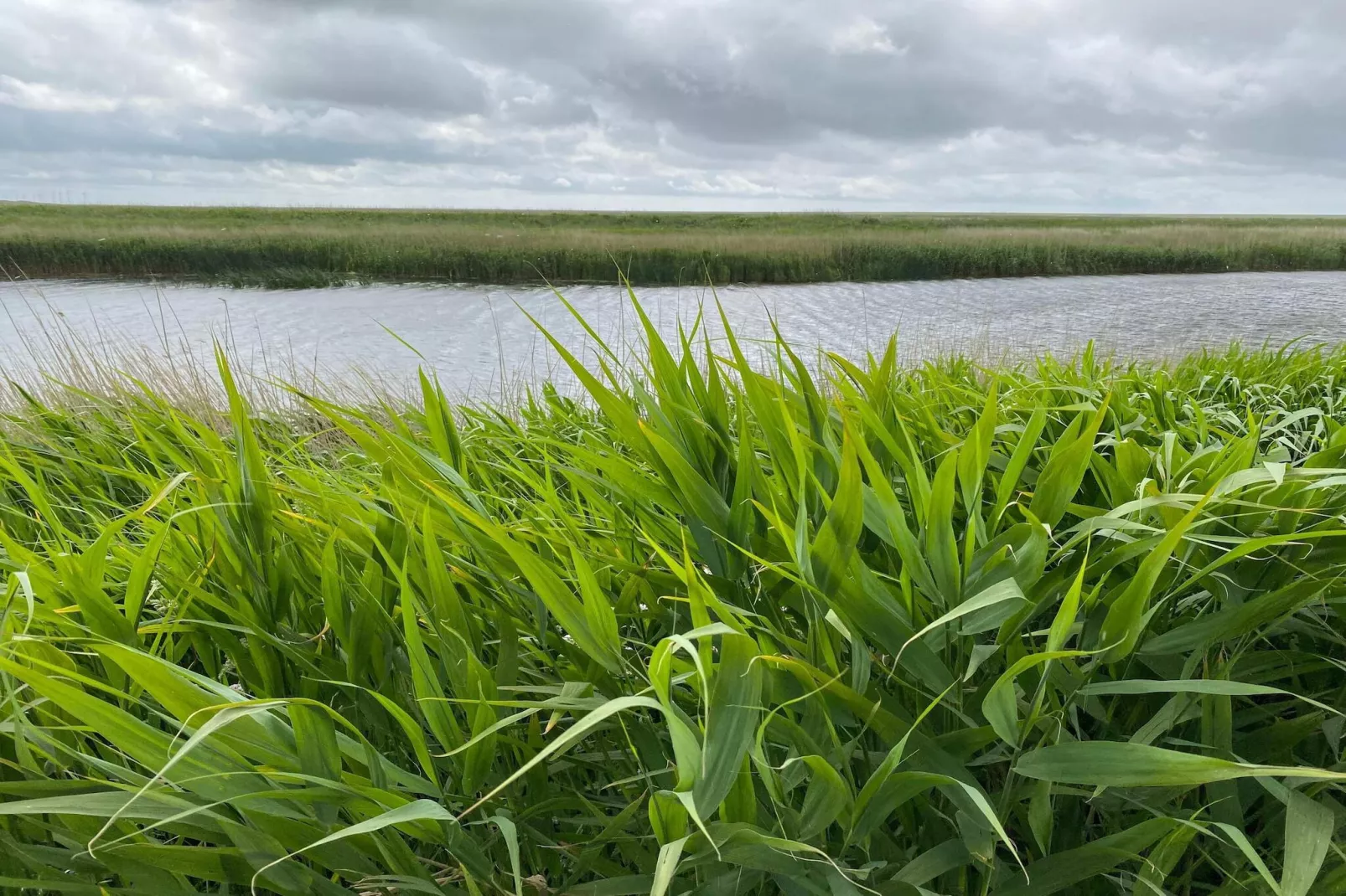 Ferienhaus für 6 Personen in Højer-Wasserblick