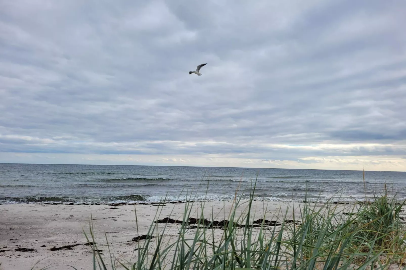Maison de vacances pour 3 a HUNVIGAN-By Traum-Vue sur l'eau