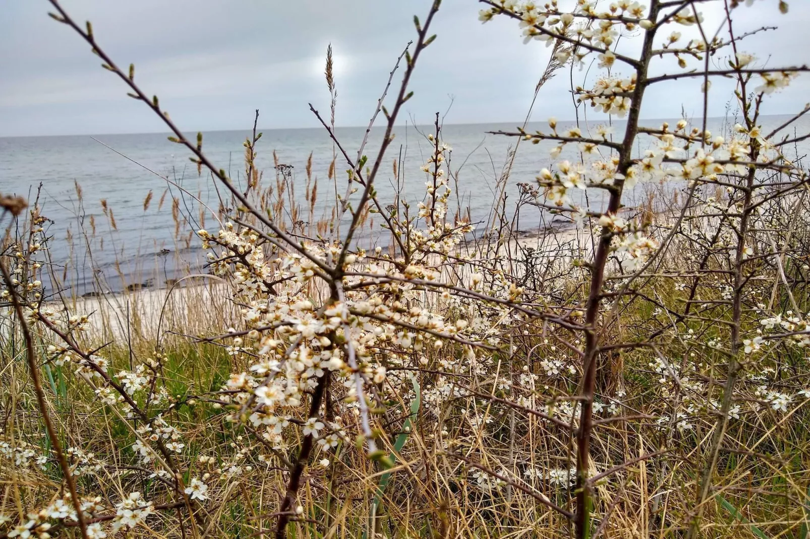 4 star holiday home in Idestrup-By Traum-Water view