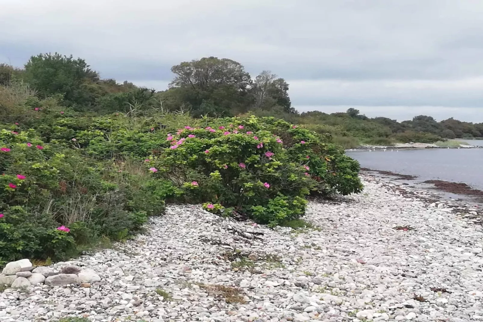5 Sterne Ferienhaus in Haderslev-By Traum-Wasserblick