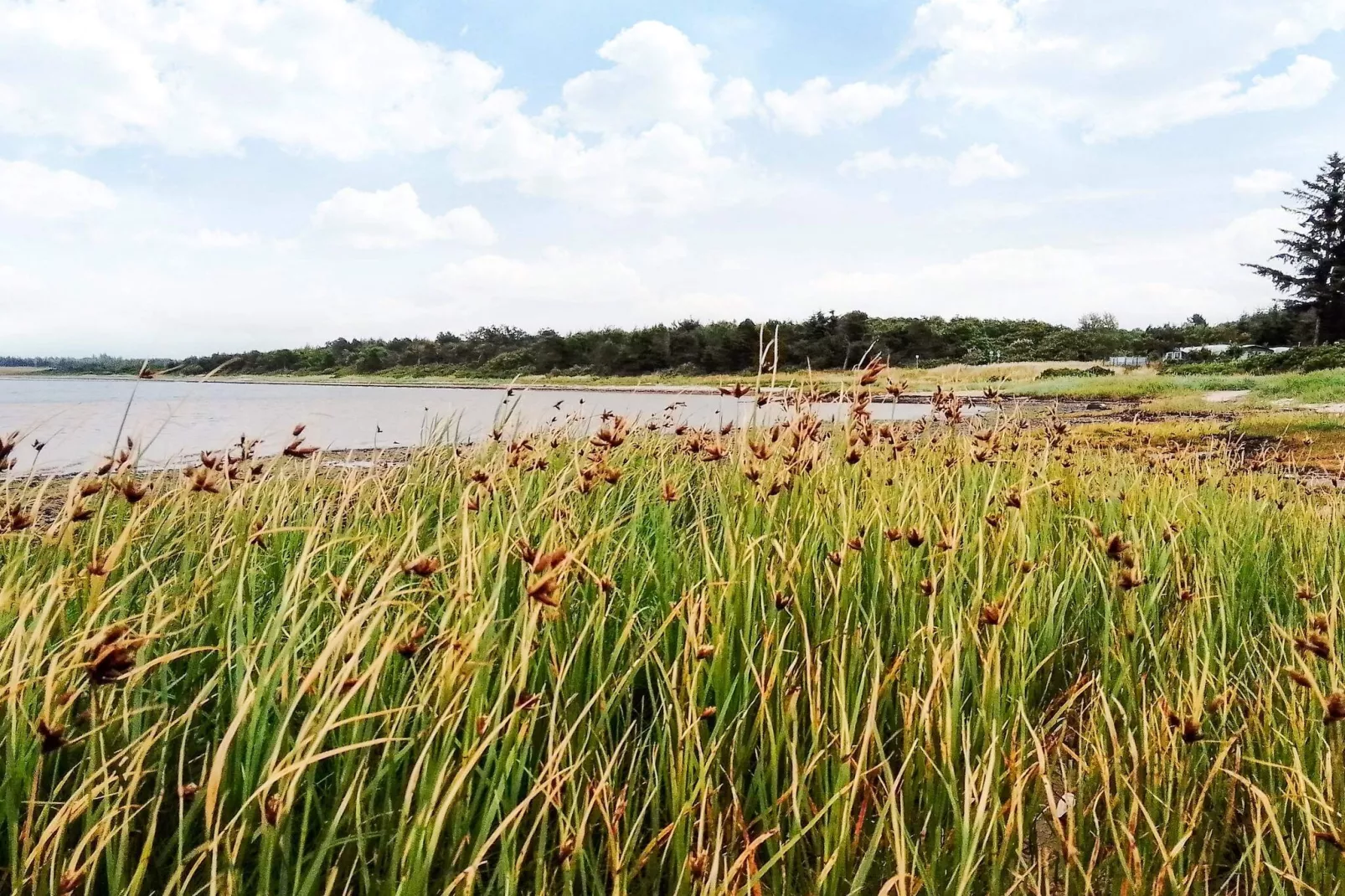 4 Sterne Ferienhaus in Farsø-By Traum-Wasserblick