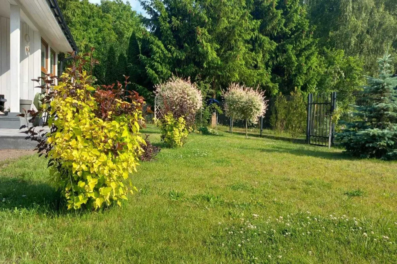 Budlejowy domek dla 4 osób w Kołczewie-Exterior in summer