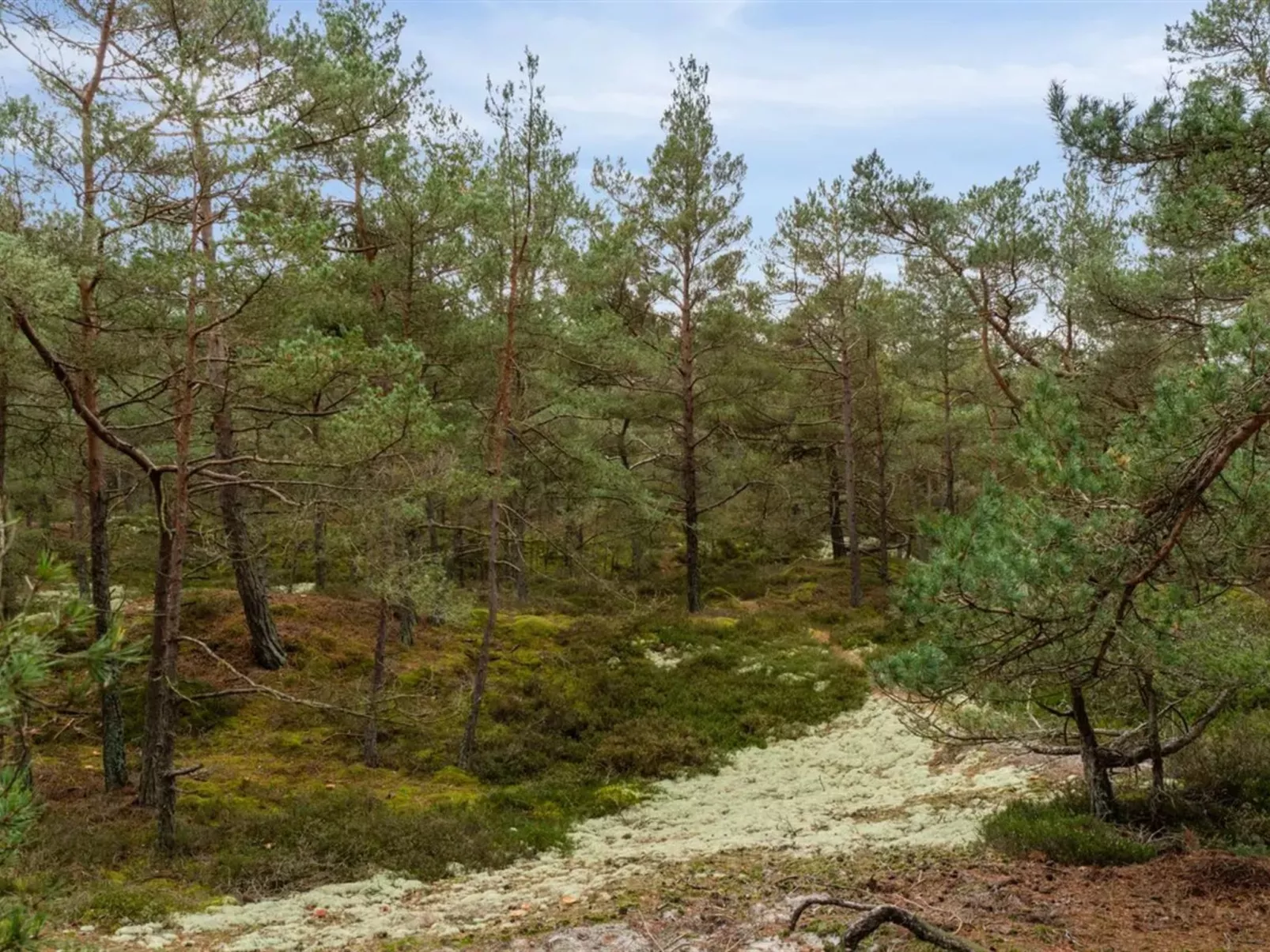 "Micaela" - 450m from the sea-Outside