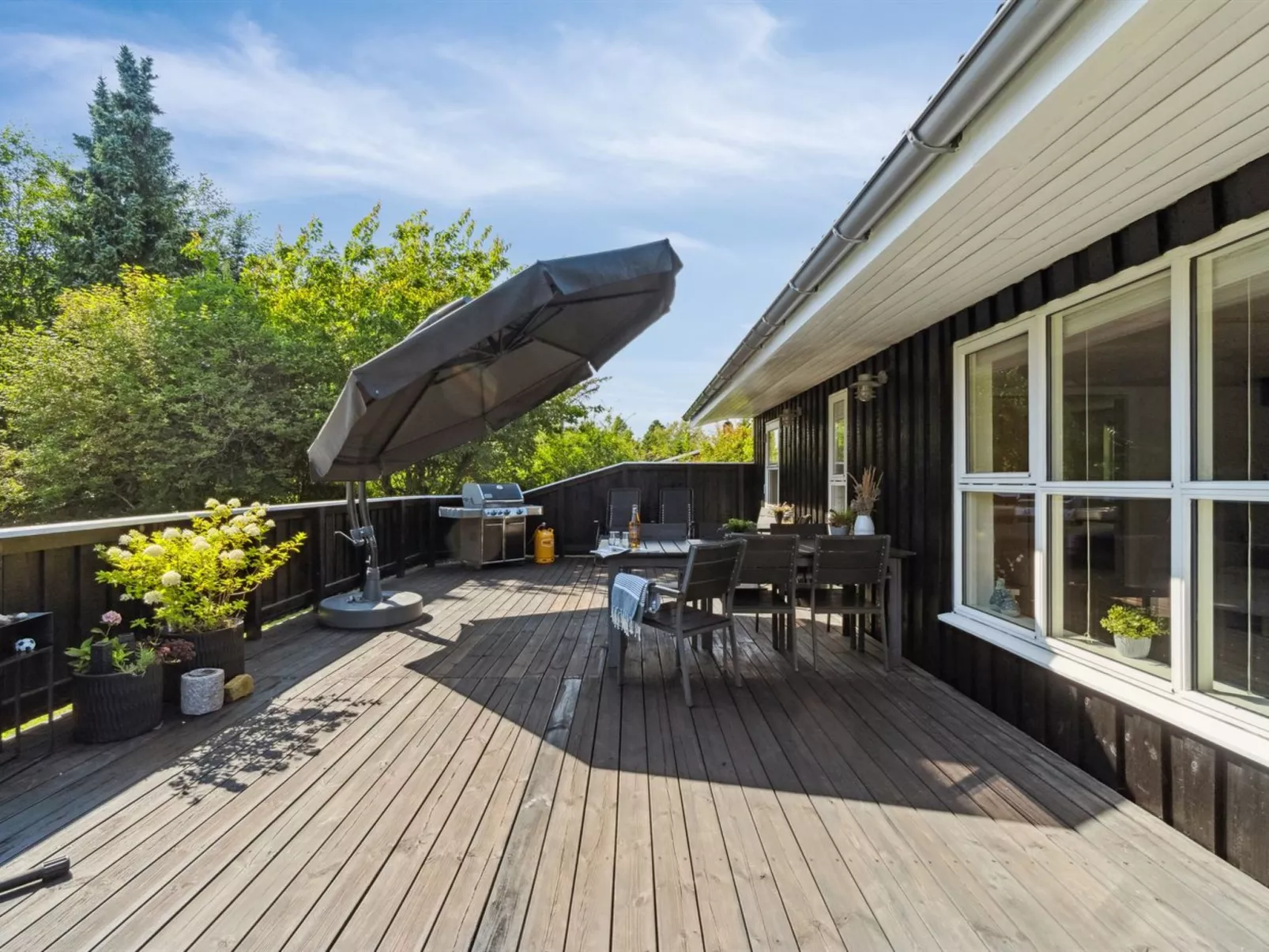 "Felippa" -  from the sea-Dehors