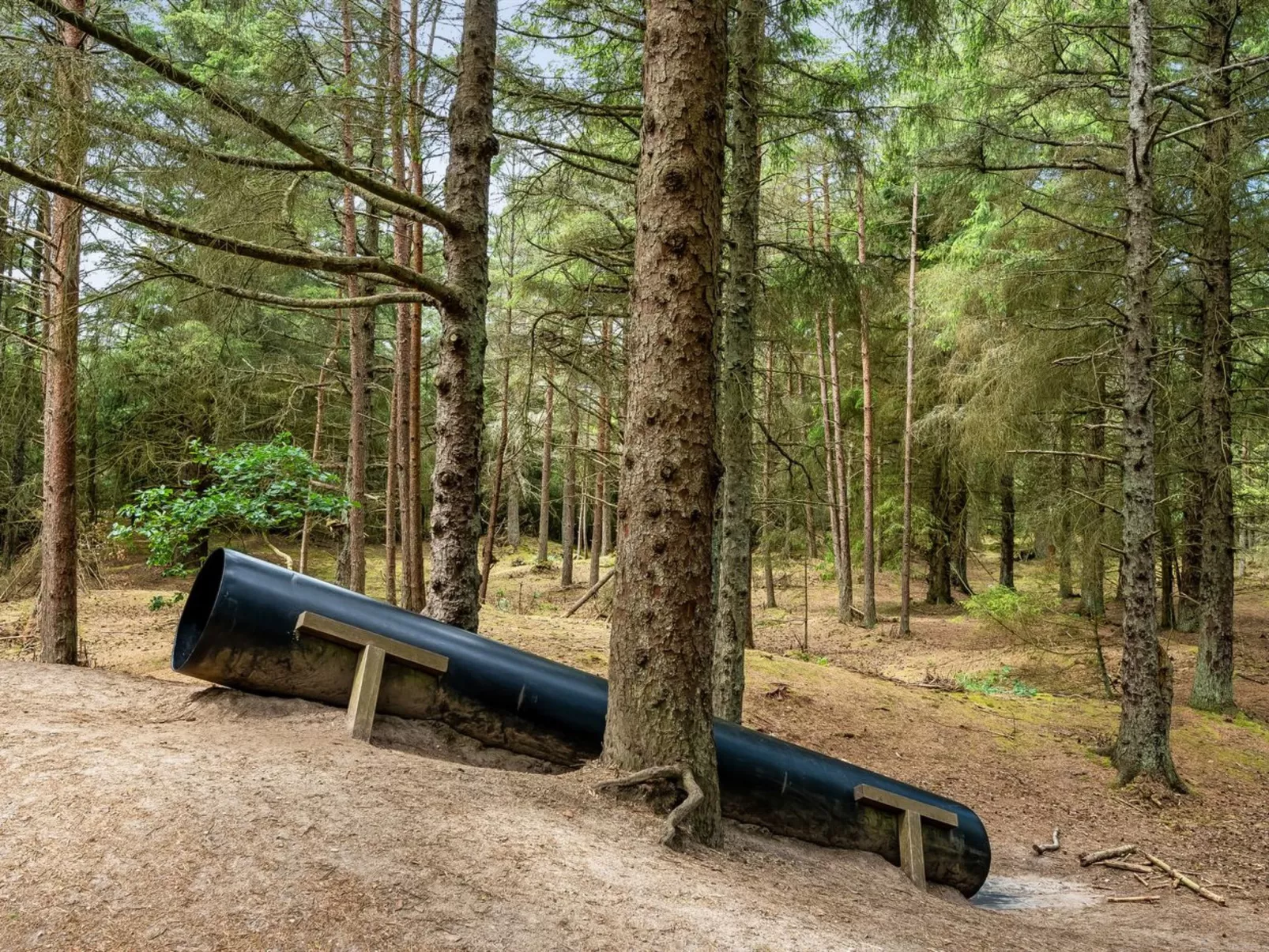 "Sylwia" -  from the sea-Dehors