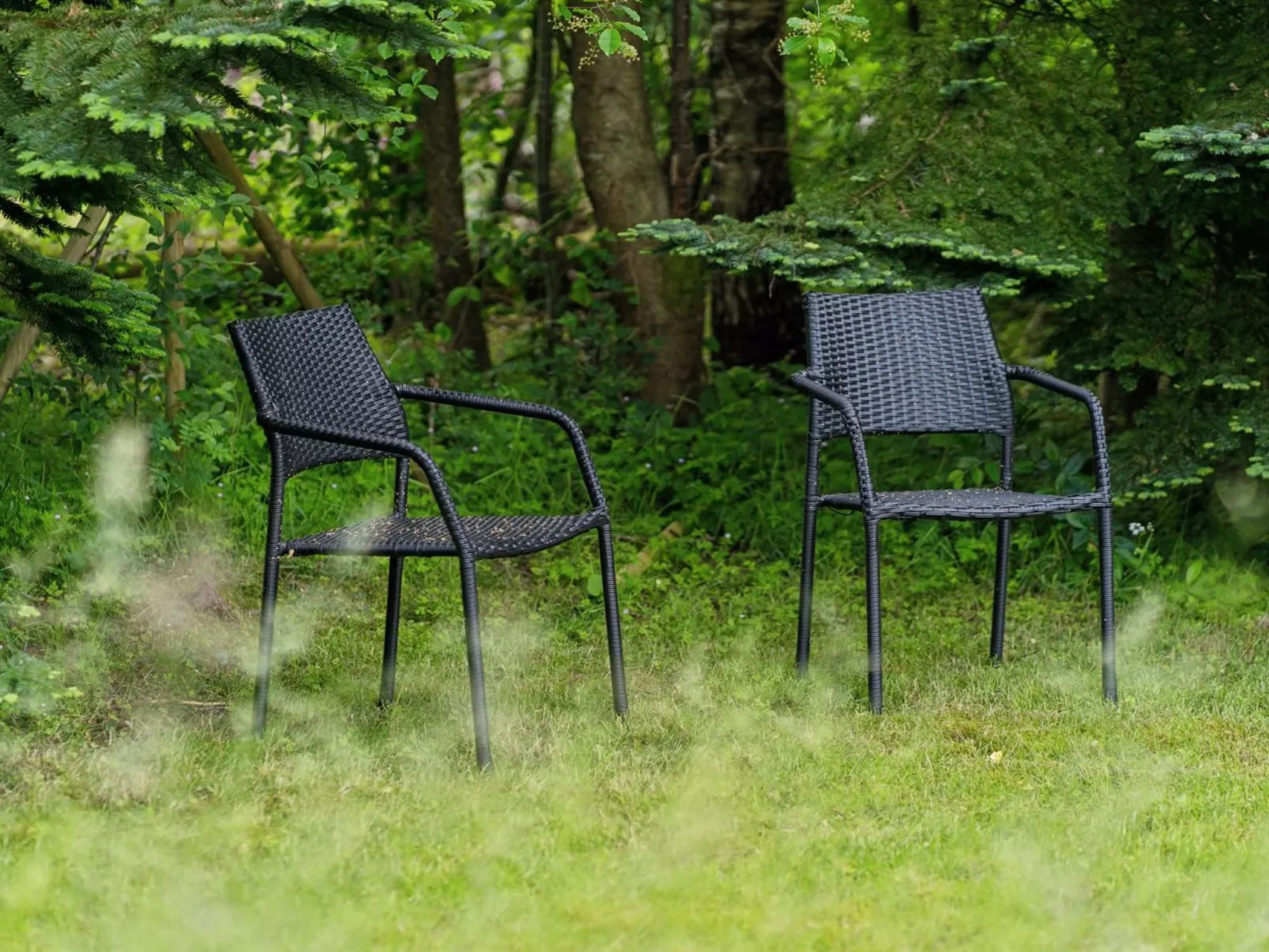 "Agnita" - 8km from the sea-Dehors