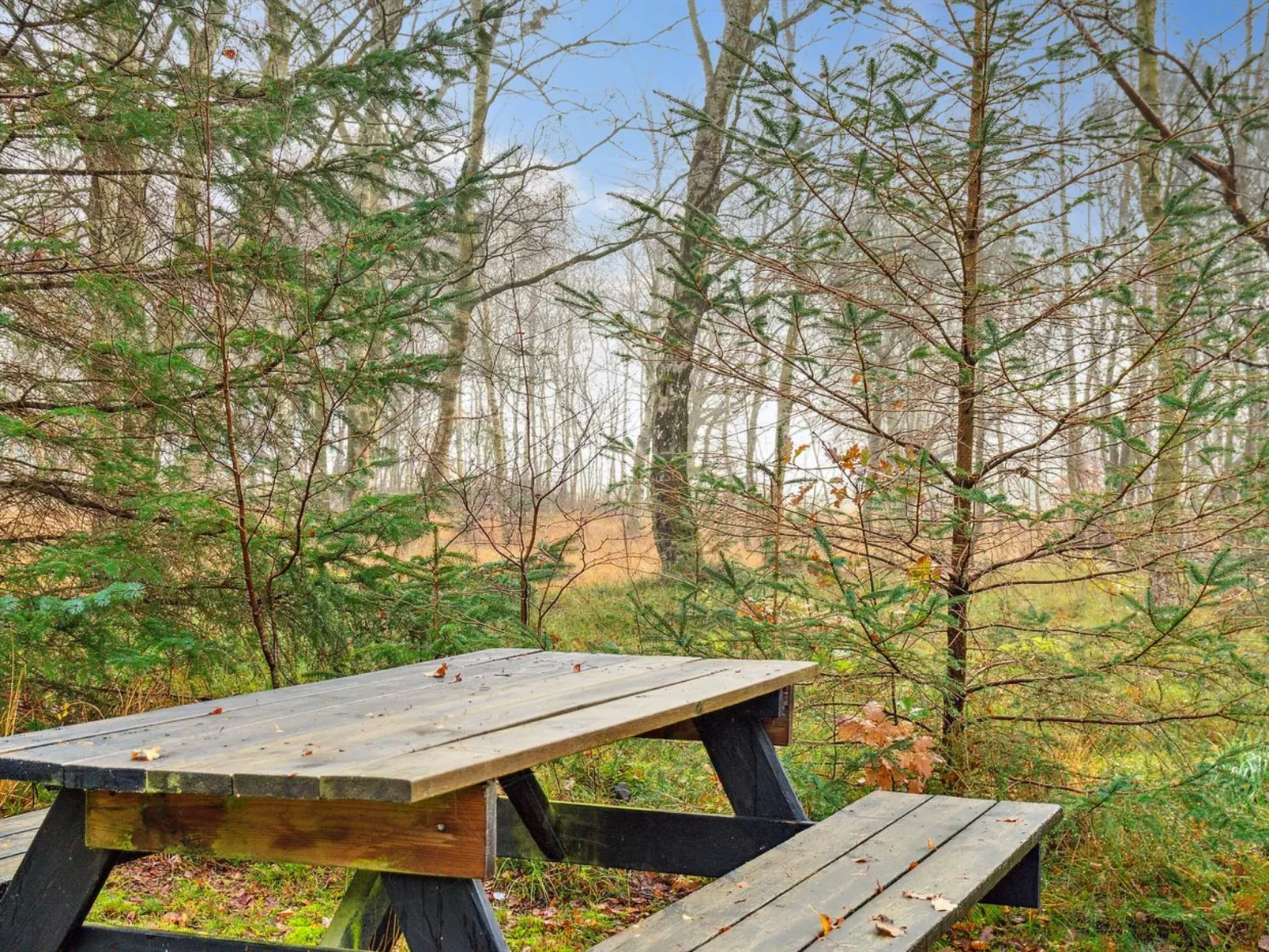 "Patrik" - 200m to the fjord-Outside