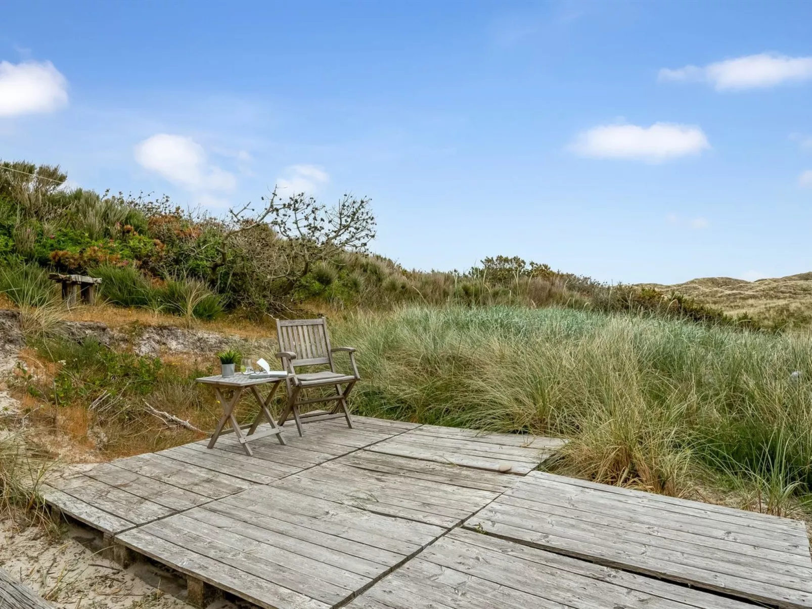 "Apolina" -  from the sea-Draußen