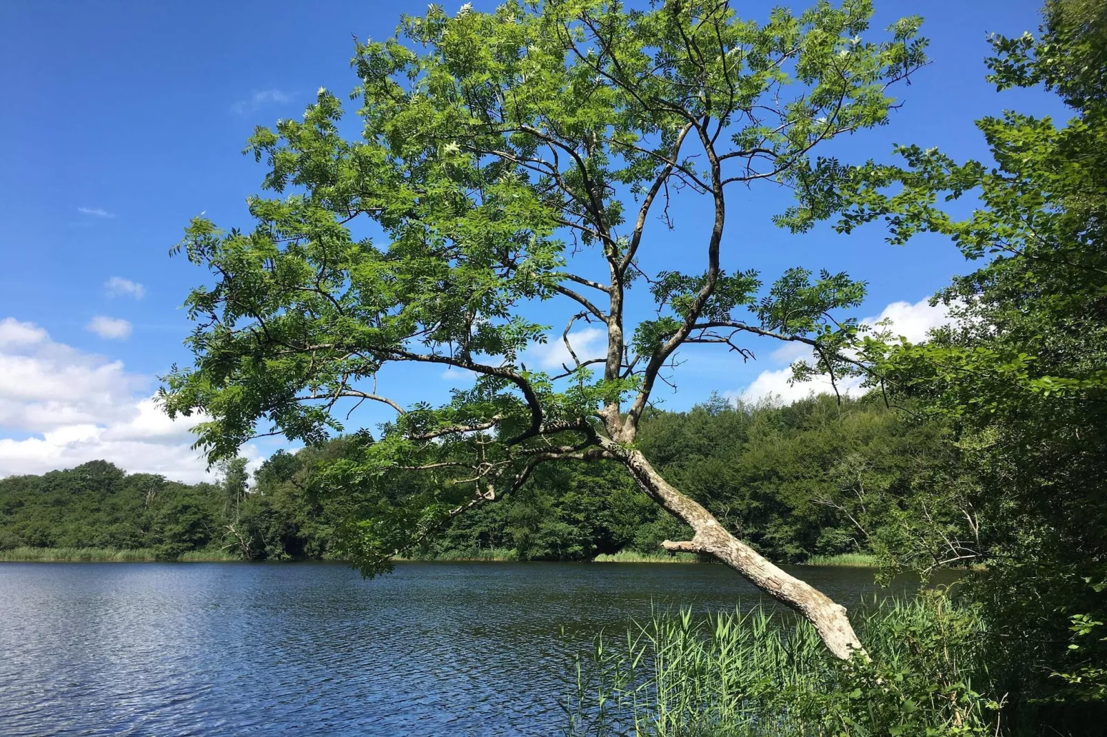 6 person holiday home in Skibby-By Traum-Water view