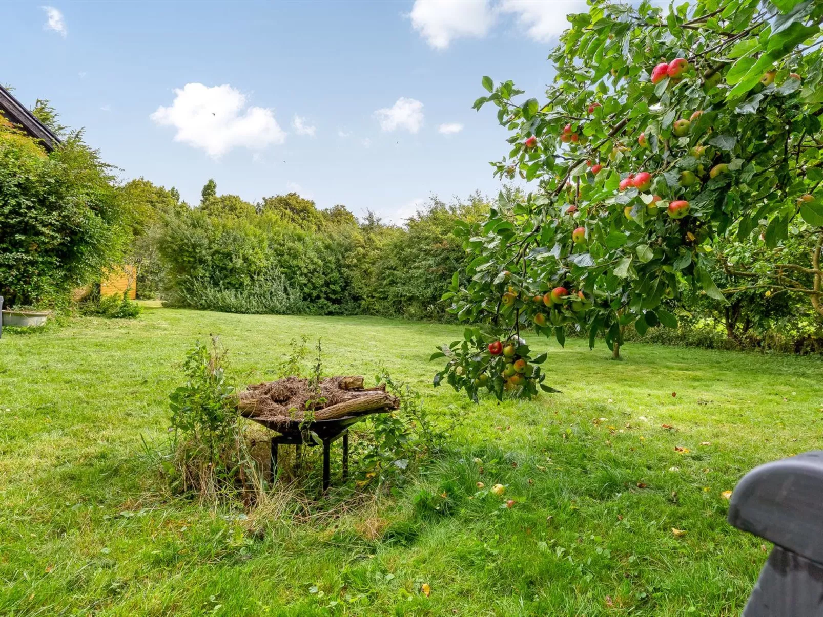 "Hughlek" - 1.5km from the sea-Outside