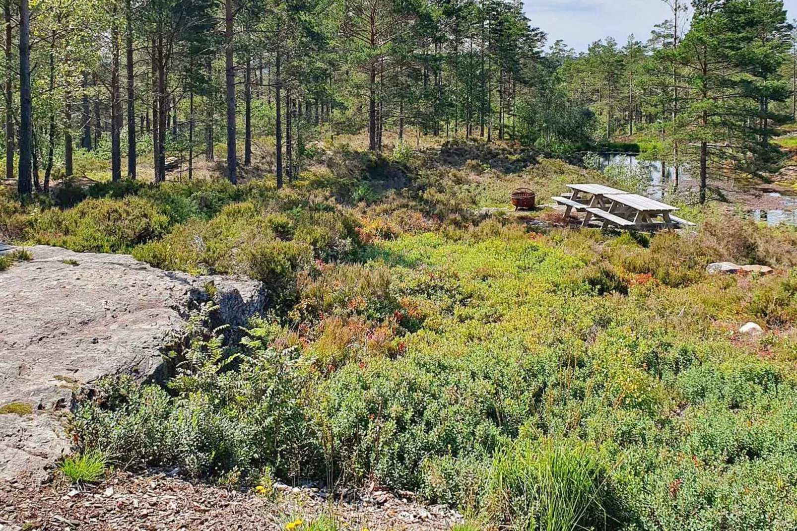 Maison de vacances pour 6 a Halden-By Traum-Non tagué
