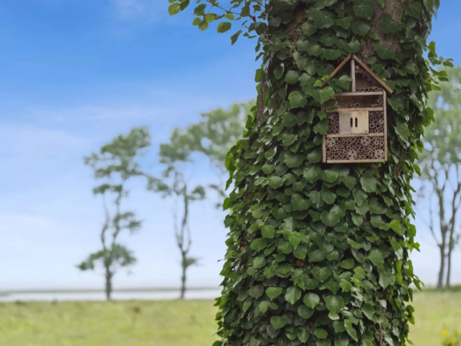 "Huldrik" - 100m from the sea-Outside