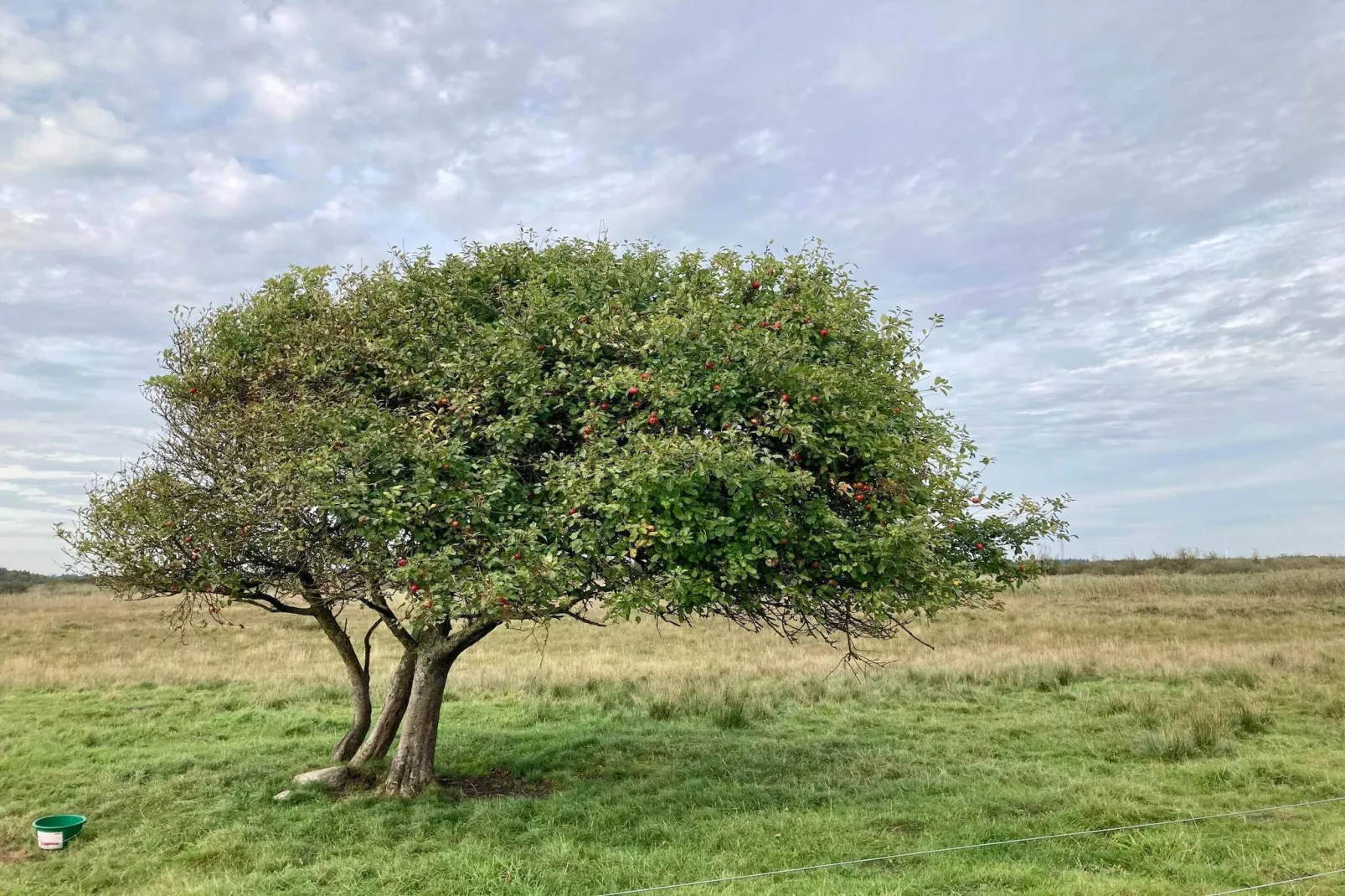Maison de vacances pour 4 a Bredebro-By Traum-Non tagué